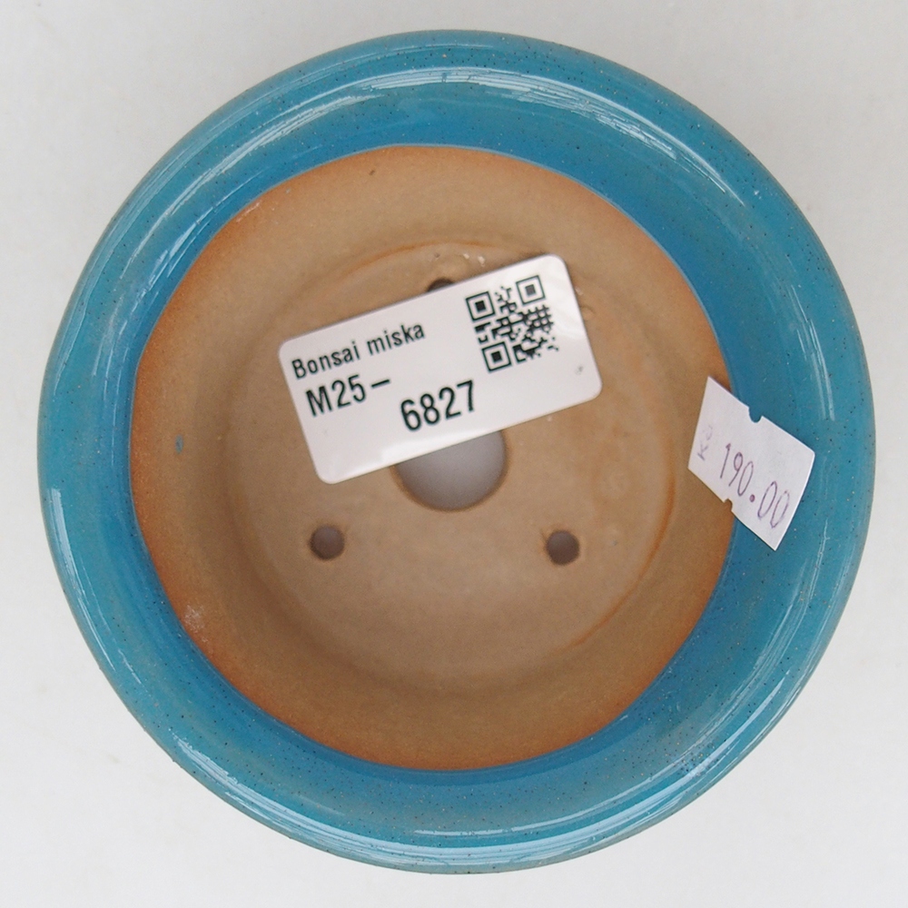 Ciotola bonsai in ceramica 9 x 9 x 5 cm, colore blu