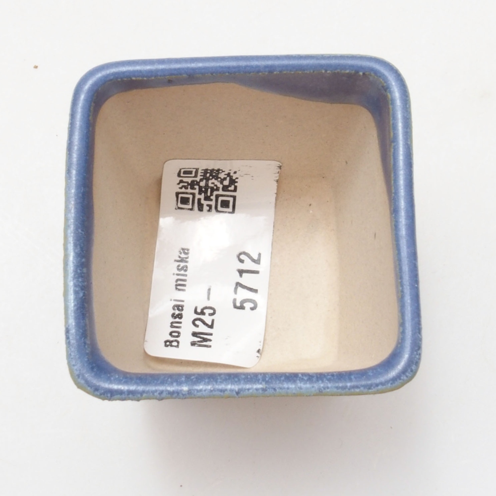 Mini bonsai 4,5 x 4,5 x 4,5 cm, colore blu