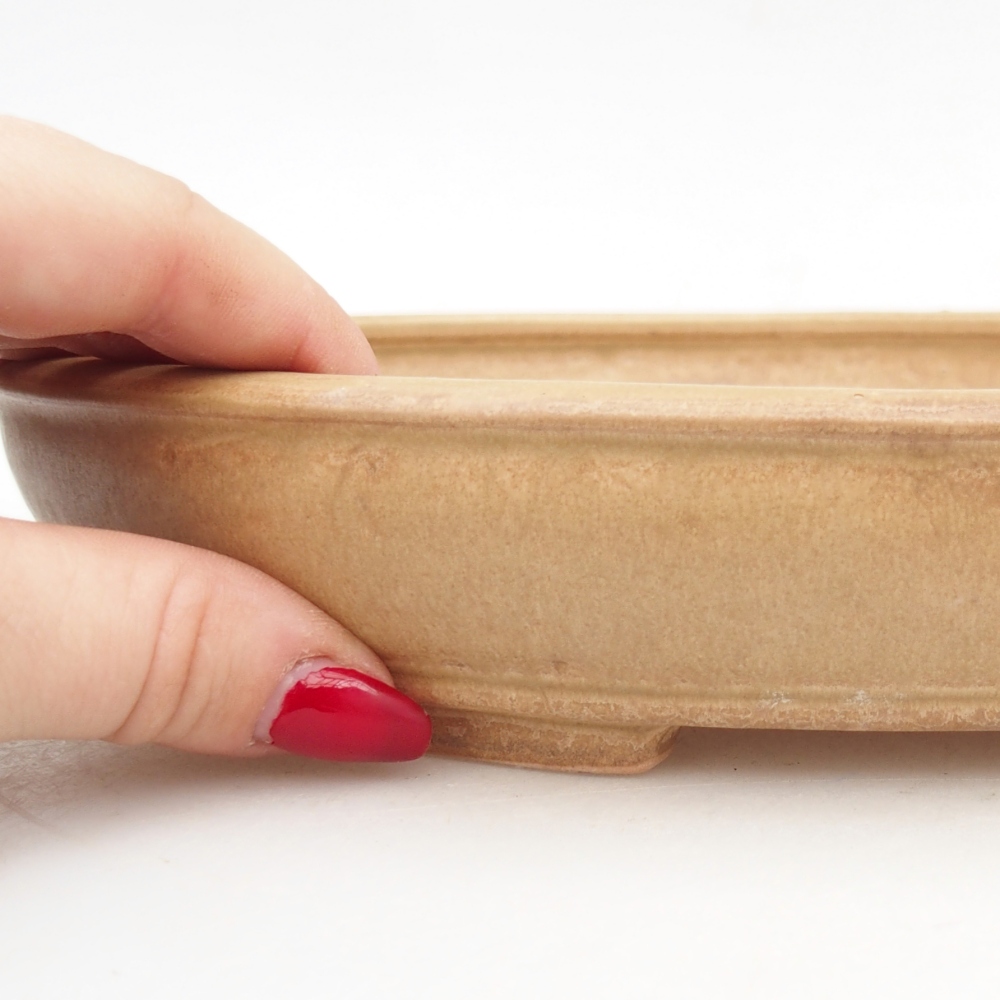 Ciotola per bonsai in ceramica 24,5 x 20 x 4 cm, colore beige