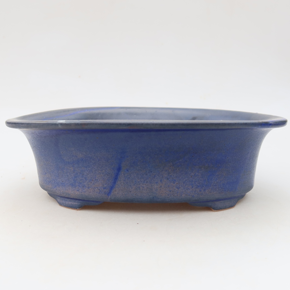 Vaso da bonsai in ceramica 22,5 x 17,5 x 6,5 cm, colore blu