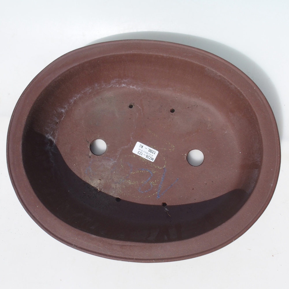 Ciotola per bonsai 41,5 x 33,5 x 10 cm betulla marrone