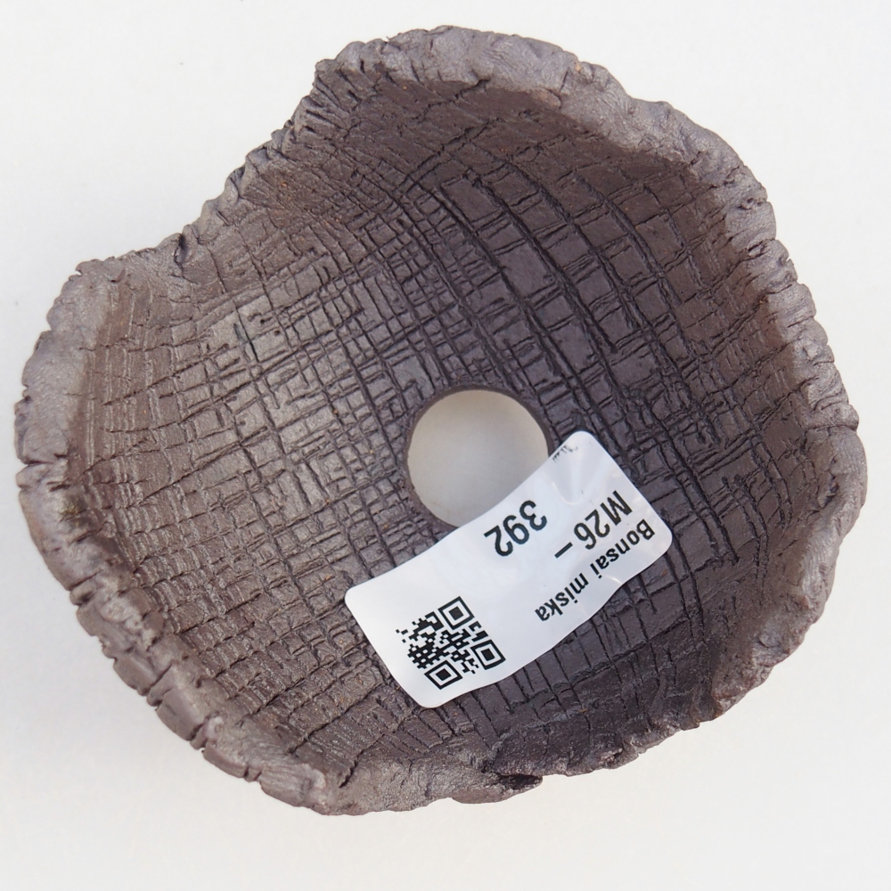 Conchiglia in ceramica 8 x 8 x 6,5 cm, colore metallizzato