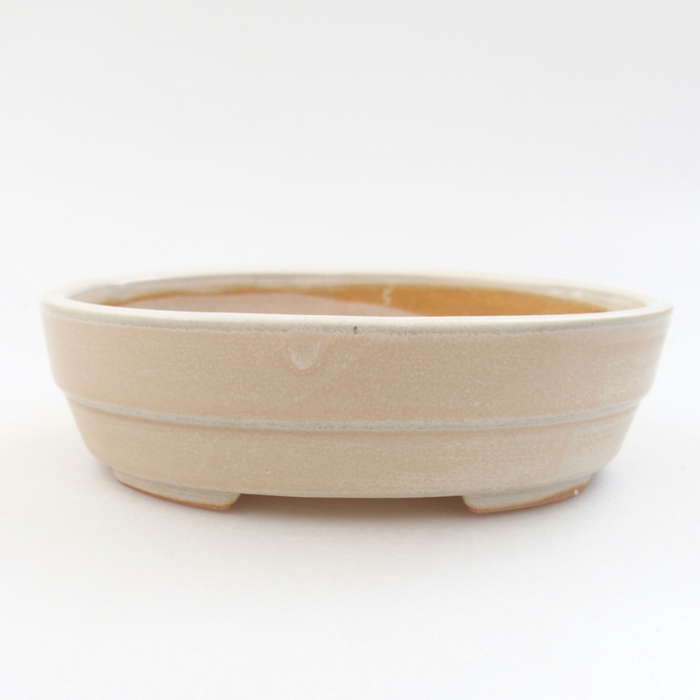 Ciotola bonsai in ceramica 22 x 17 x 5 cm, verde