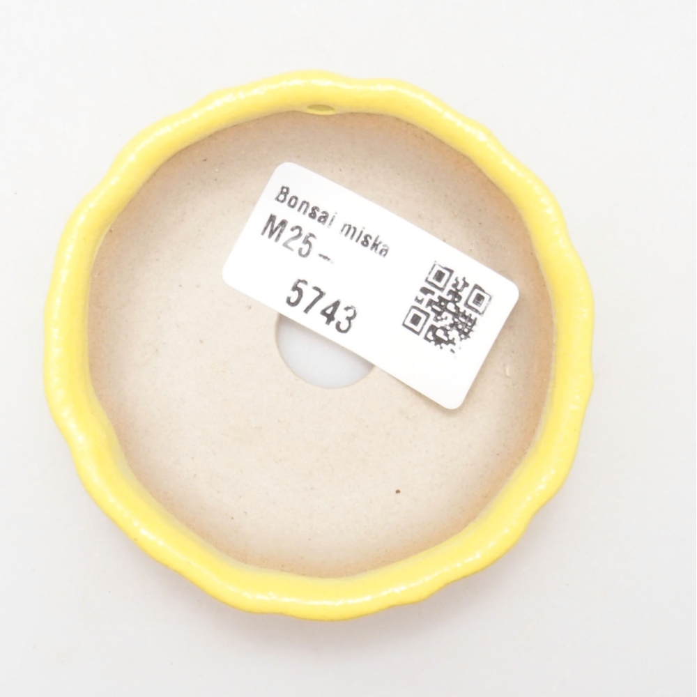 Ciotola bonsai in ceramica 7 x 7 x 2 cm, giallo