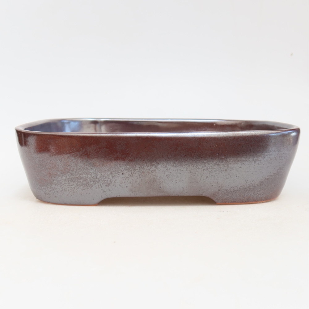 Ciotola per bonsai in ceramica 23 x 18 x 5,5 cm, bordeaux