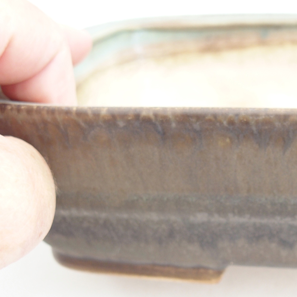 Ciotola per bonsai in ceramica 21,5 x 17,5 x 5,5 cm, verde