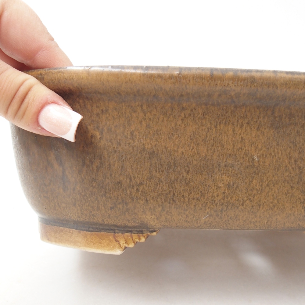 Ciotola per bonsai in ceramica 25 x 21 x 8 cm, marrone