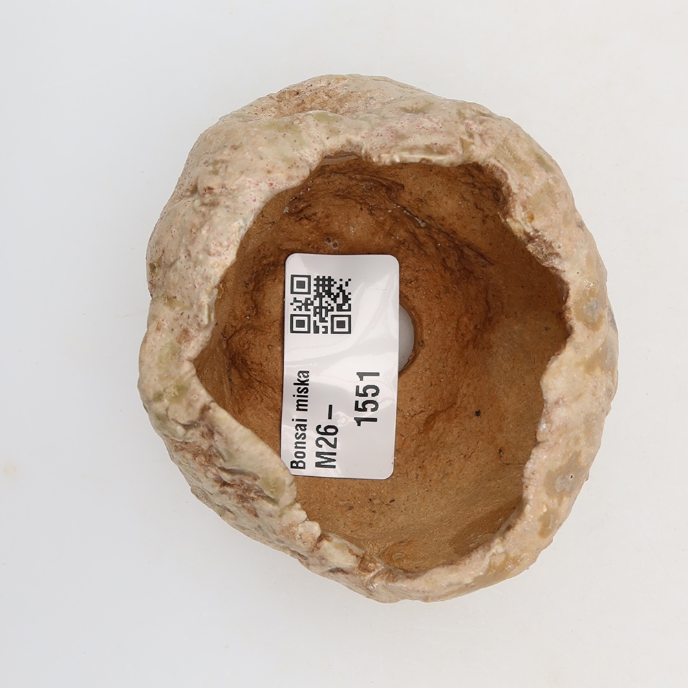 Guscio in ceramica  5,5 x 5 x 5,5 cm, colore beige-marrone