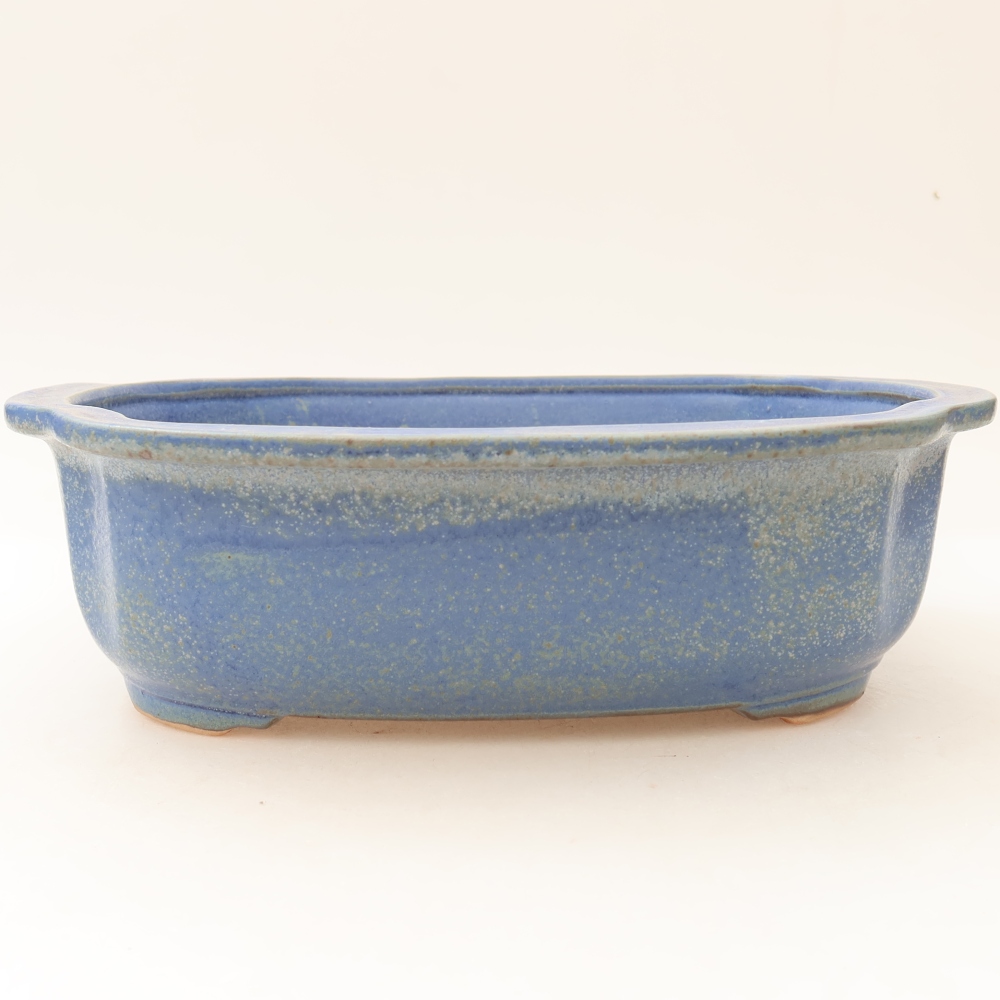 Vaso da bonsai in ceramica 24,5 x 21 x 7,5 cm, colore blu