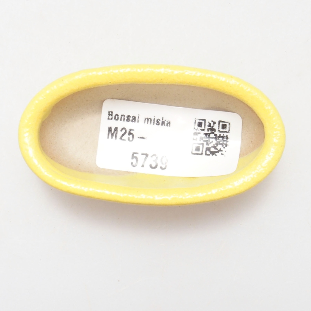 Ciotola per bonsai in ceramica 6,5 x 3,5 x 2 cm, giallo
