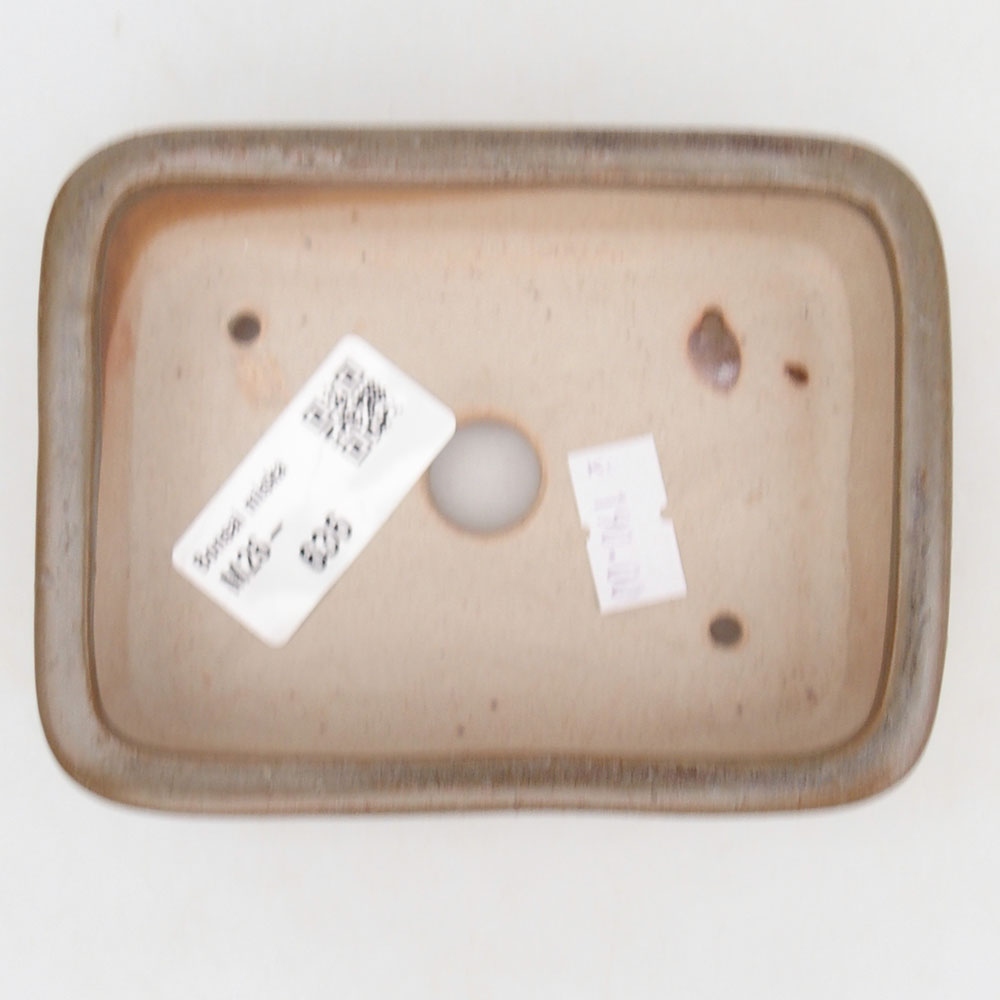 Ciotola per bonsai in ceramica 125 x 10 x 3 cm, marrone