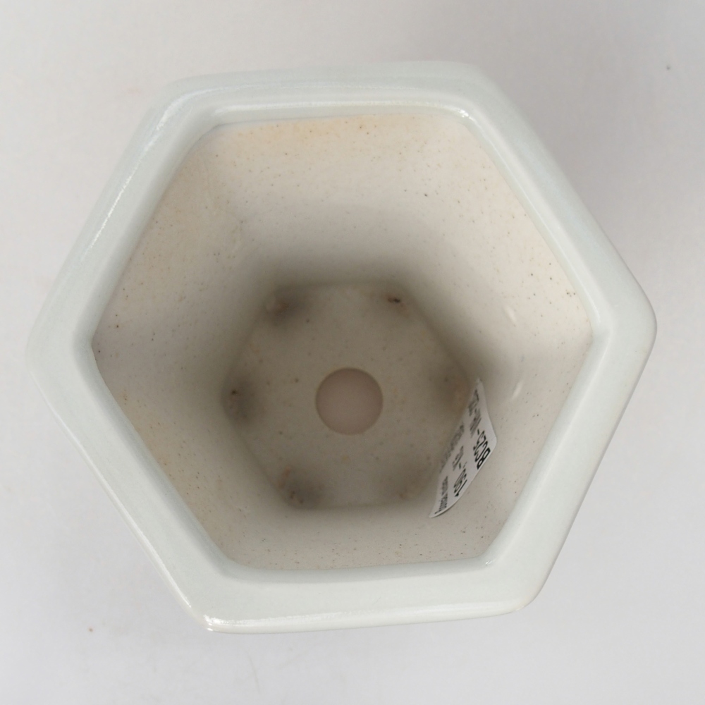 Ciotola per bonsai in ceramica 10 x 9 x 9 cm, colore bianco