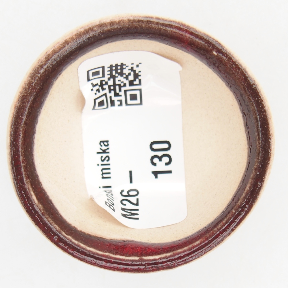 Mini bonsai 4,5 x 4,5 x 2,5 cm, colore rosso