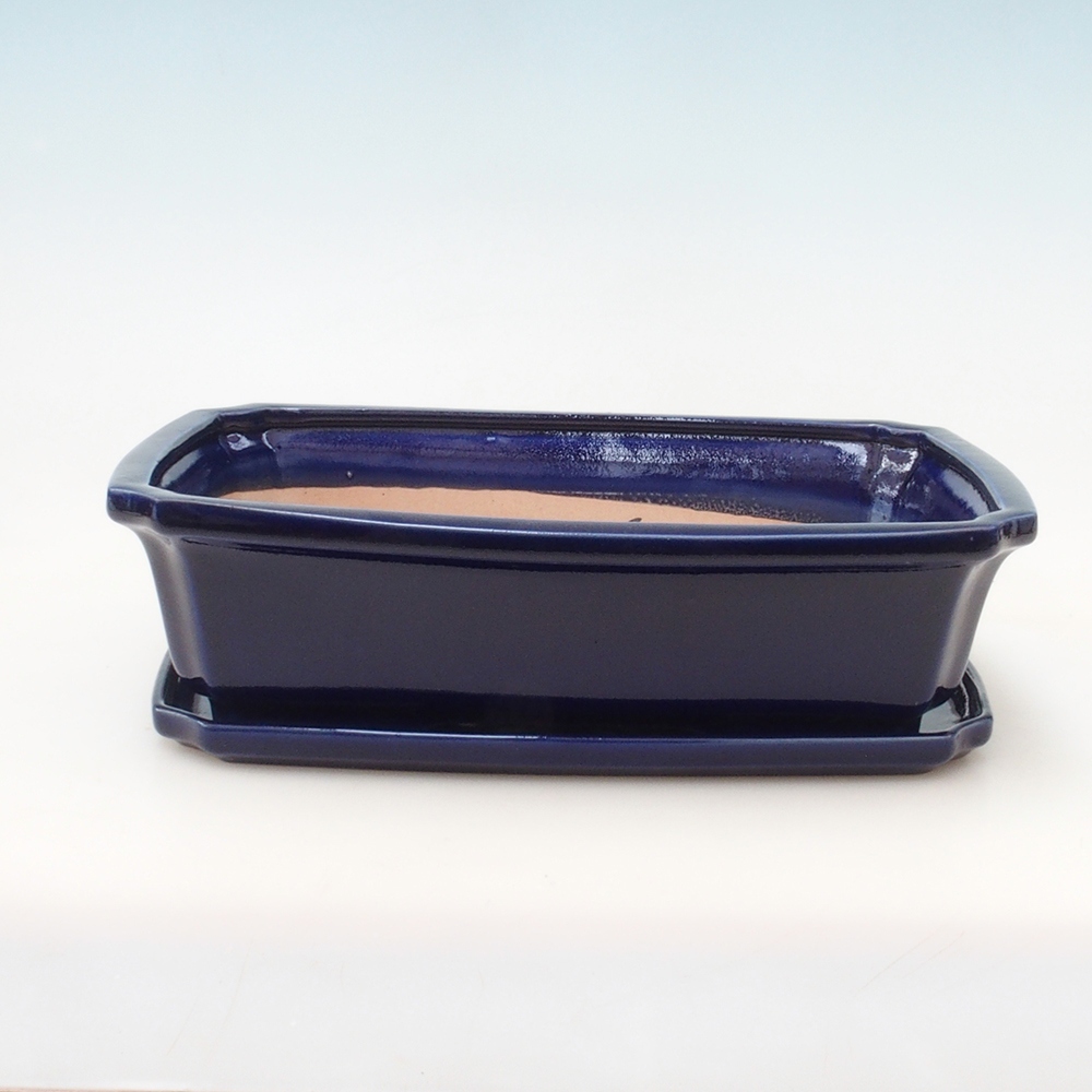 Ciotola bonsai + piattino H07 - 30 x 20,5 x 8 cm - blu