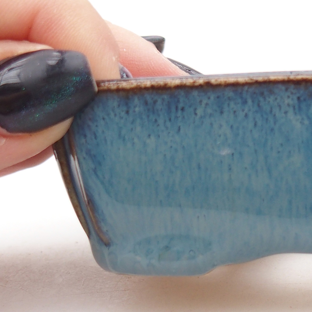 Ciotola mini bonsai 9 x 7 x 3 cm, blu