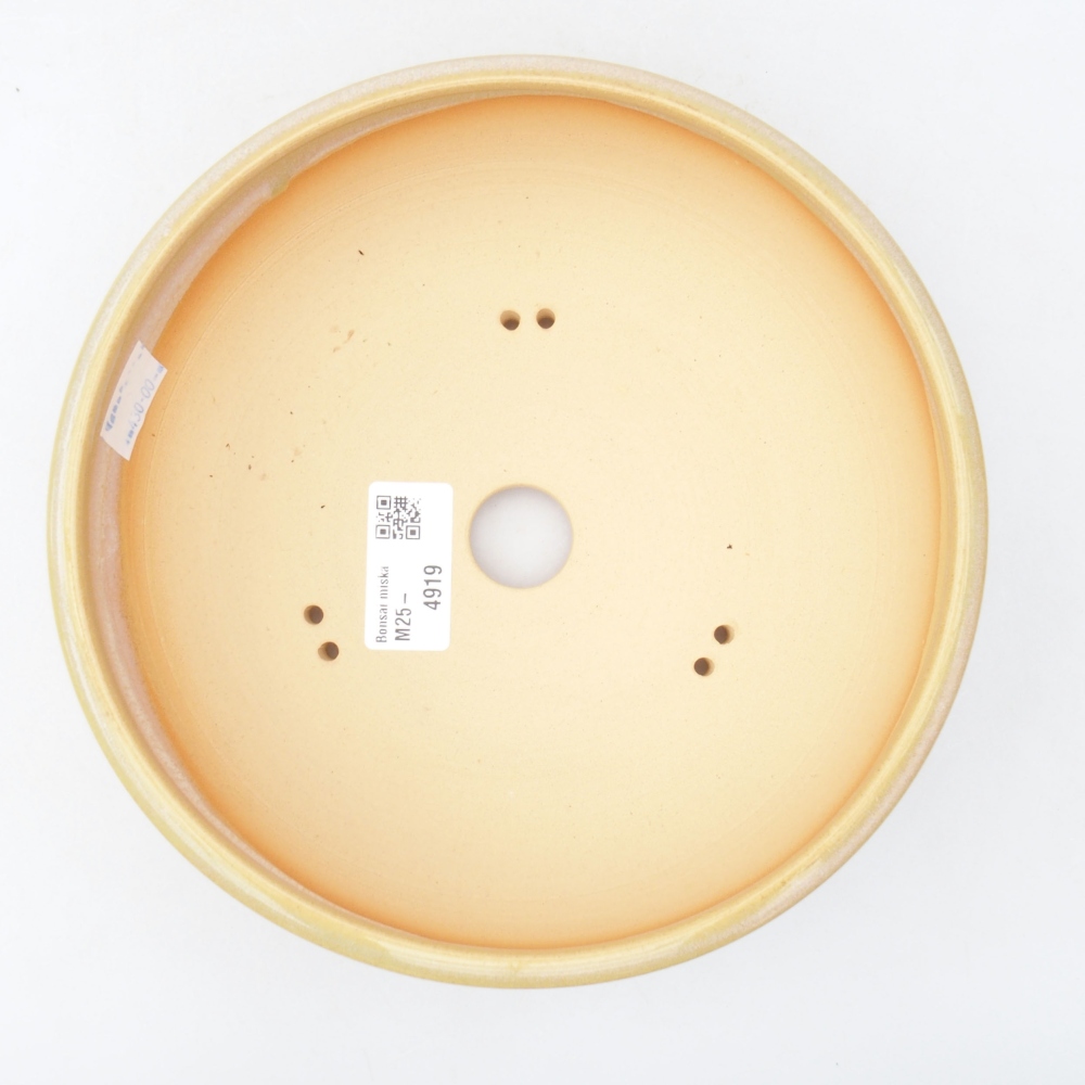 Ciotola per bonsai in ceramica 19,5 x 19,5 x 6 cm, colore beige