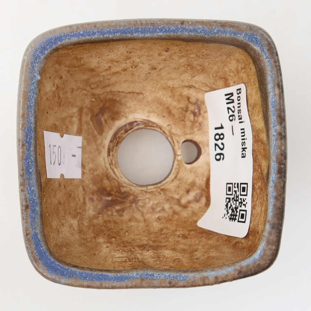 Vaso da bonsai in ceramica 6 x 6 x 4 cm, colore blu