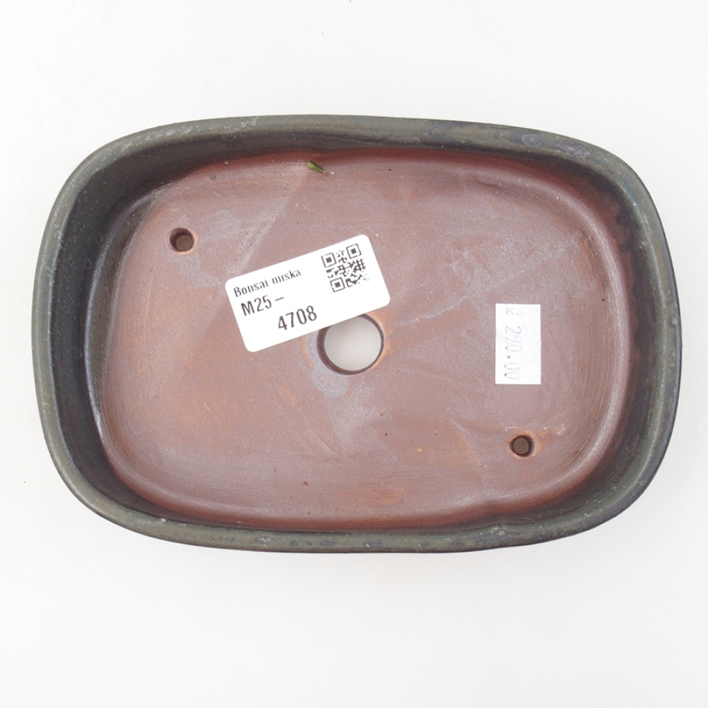 Ciotola bonsai in ceramica 16 x 11 x 3,5 cm, grigio