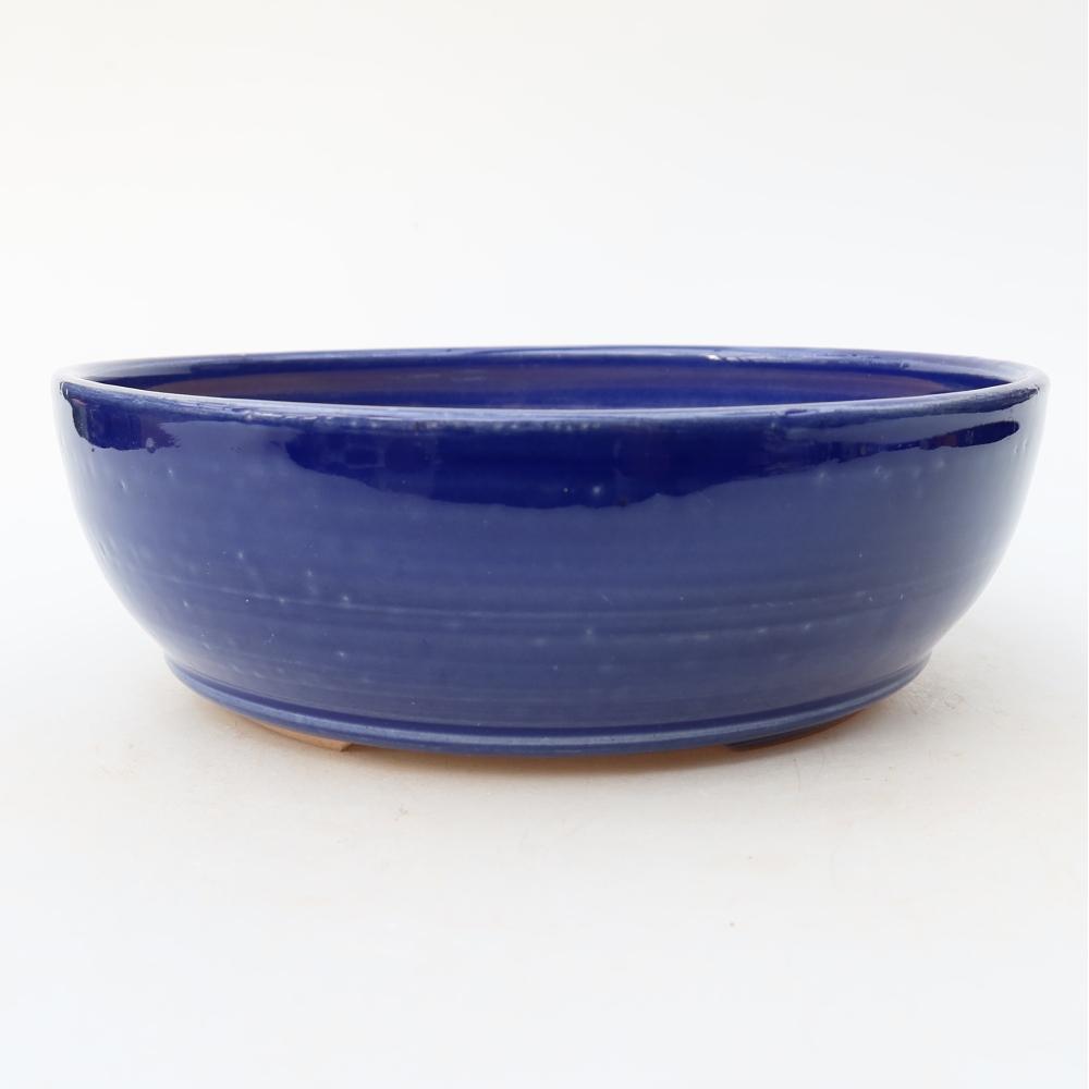 Ciotola bonsai in ceramica 19 x 19 x 6 cm, colore blu
