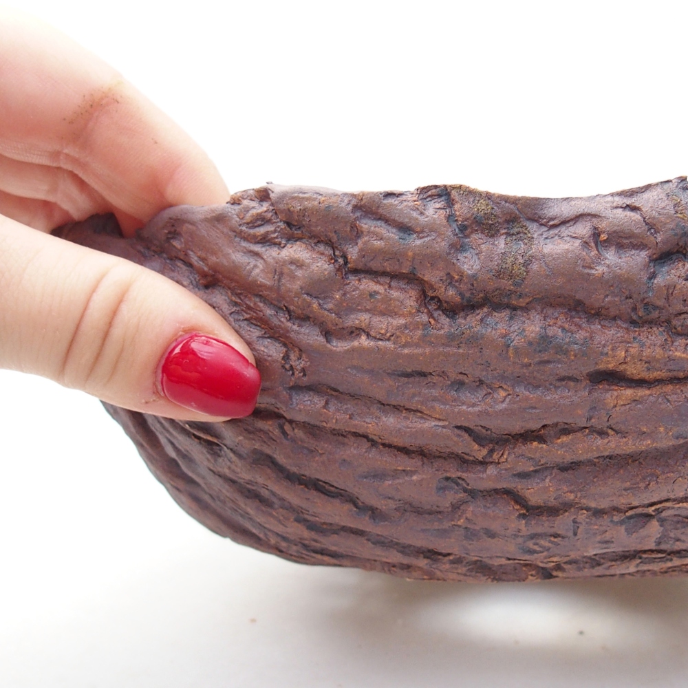 Conchiglia in ceramica 20 x 17,5 x 7 cm , colore marrone