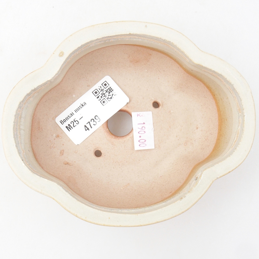 Ciotola per bonsai in ceramica 12,5 x 10 x 4,5 cm, colore beige