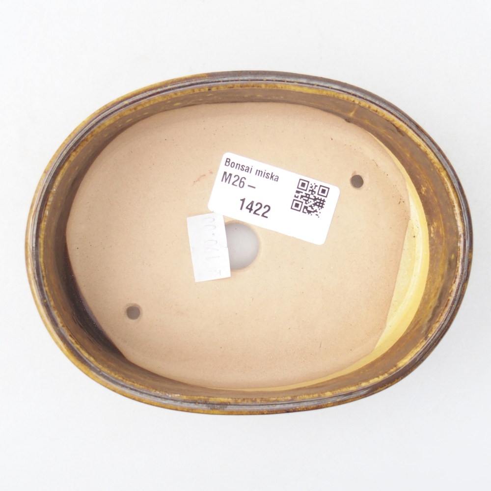 Ciotola per bonsai in ceramica 12,5 x 10 x 3,5 cm, giallo