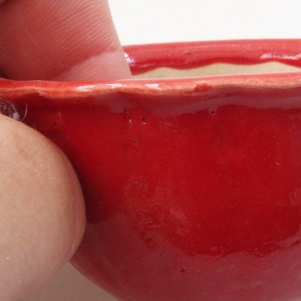 Mini bonsai 7 x 7 x 3,5 cm, colore rosso