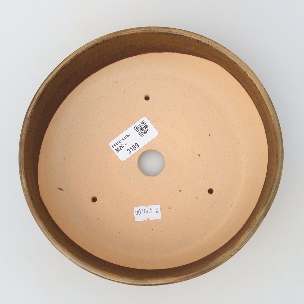 Vaso da bonsai in ceramica 19,5 x 19,5 x 6,5 cm, colore marrone