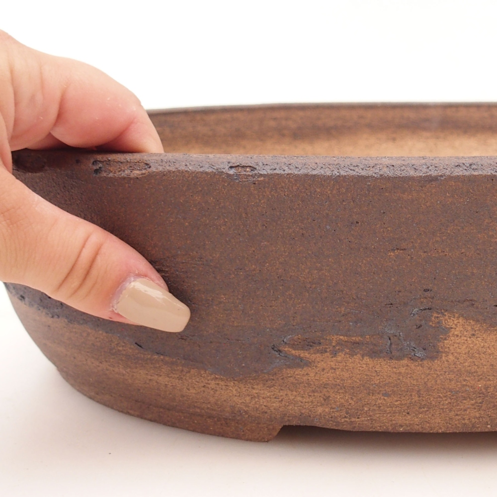 Ciotola per bonsai 33 x 25,5 x 8,5 cm , colore marrone