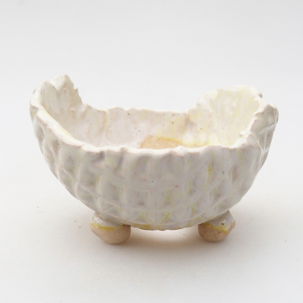 Conchiglia in ceramica 8 x 8 x 5 cm, colore verde