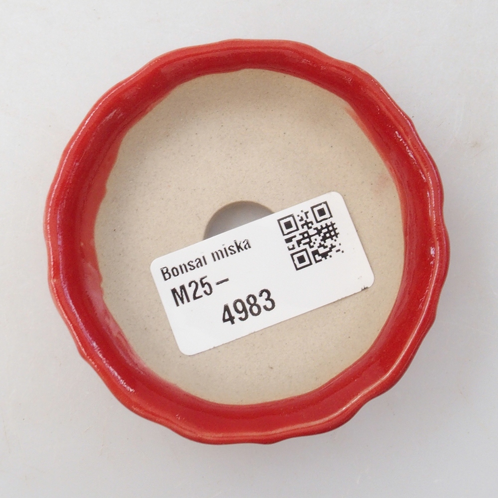 Mini bonsai 7 x 7 x 2 cm, colore rosso