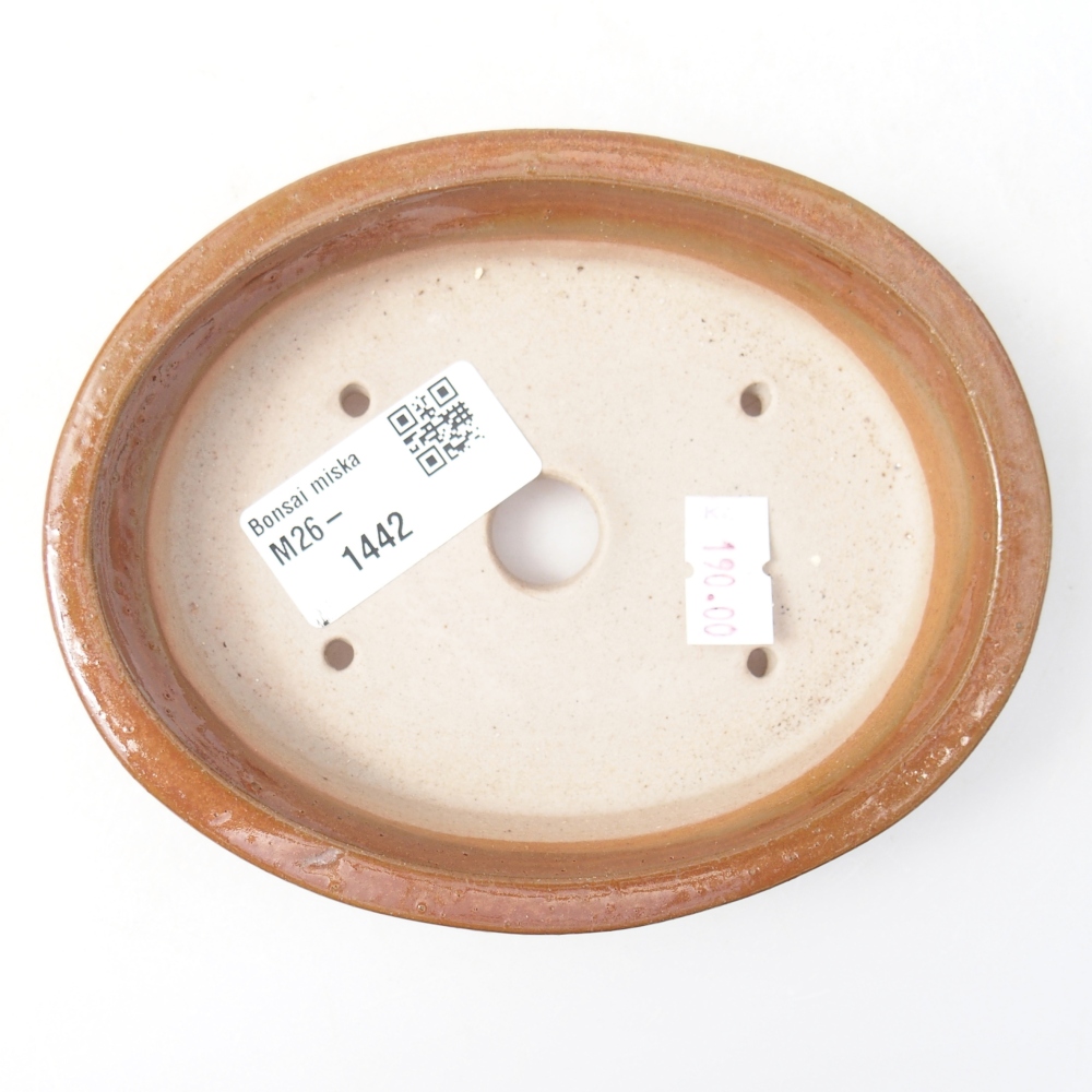 Ciotola per bonsai in ceramica 13 x 10,5 x 3 cm, marrone