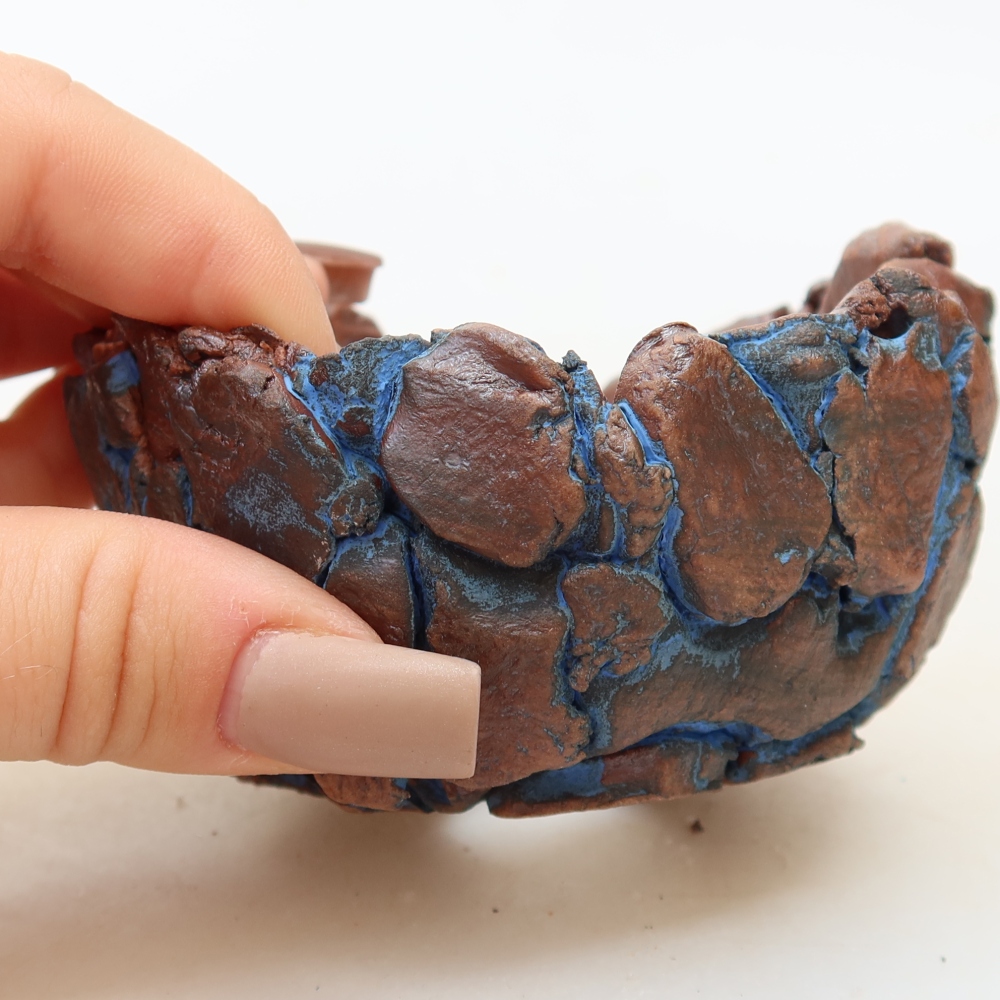 Guscio in ceramica 9 x 8,5 x 5 cm, colore blu