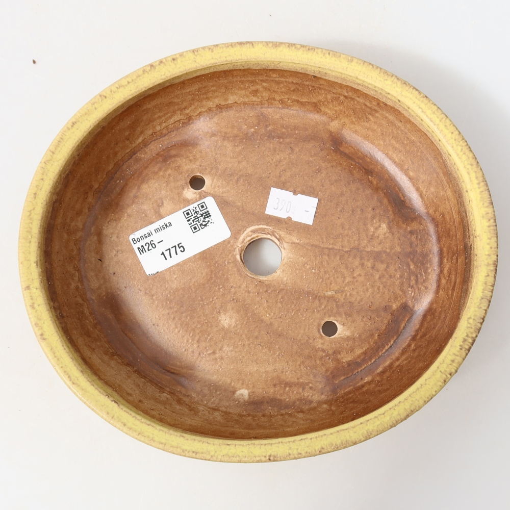Vaso da bonsai in ceramica 18,5 x 16,5 x 4,5 cm, colore giallo