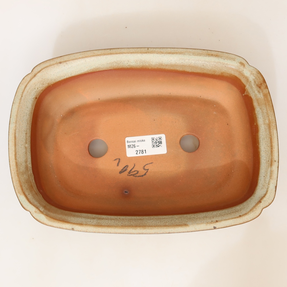 Ciotola in ceramica  24 x 17 x 6 cm, colore beige