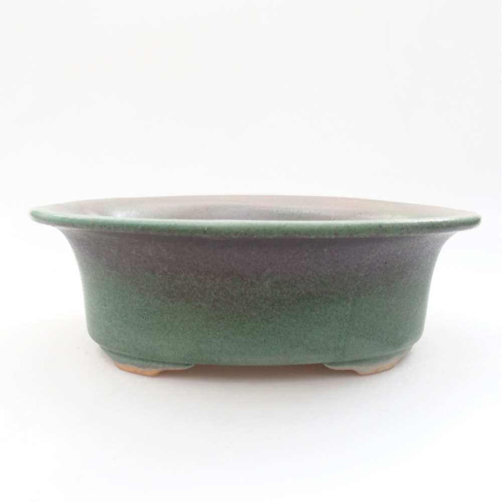 Ciotola bonsai in ceramica 22 x 17 x 5 cm, verde