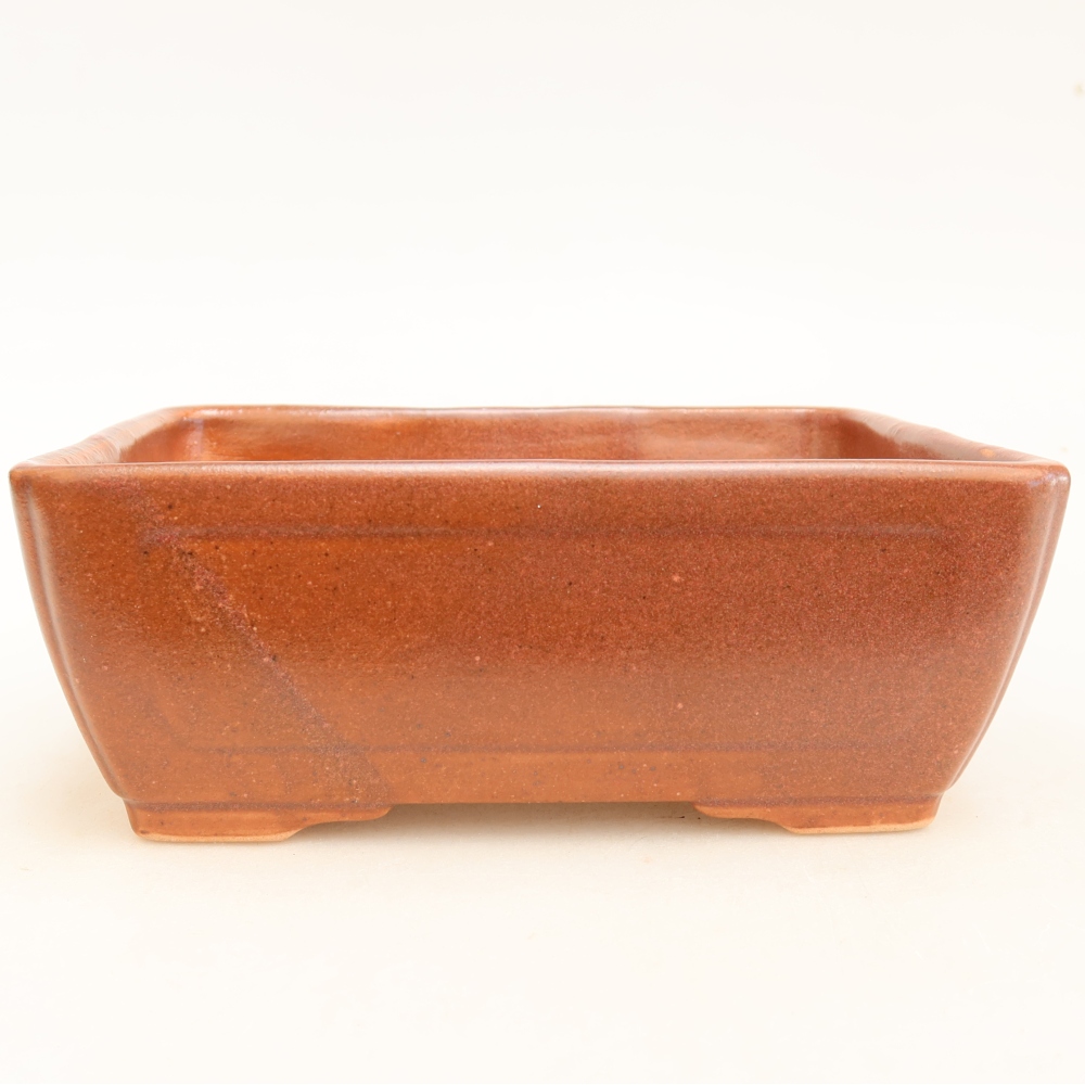 Vaso da bonsai in ceramica 16 x 12 x 6 cm, colore bordeaux
