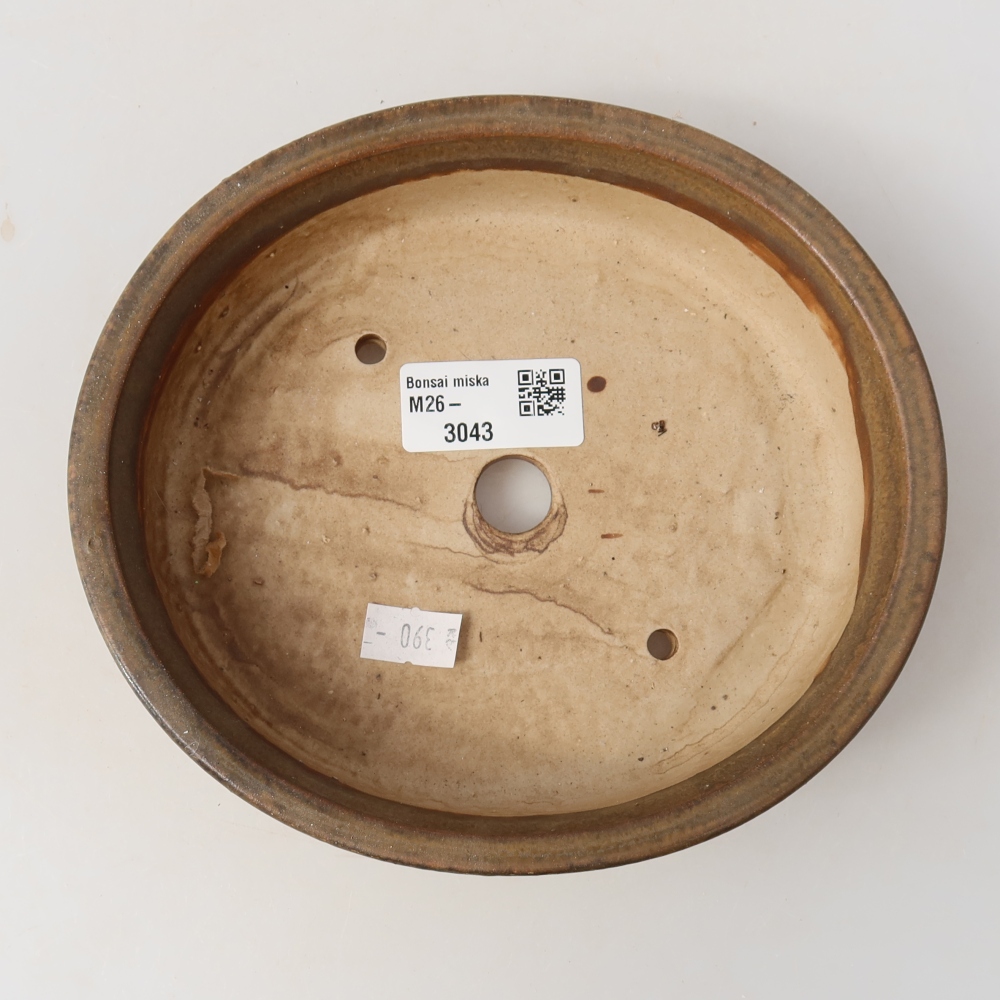 Ciotola per bonsai in ceramica 17,5 x 16 x 4,5 cm, marrone