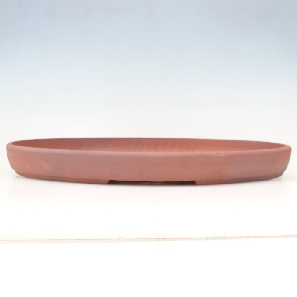 Ciotola per bonsai 48,5 x 31 x 4,5 cm , colore marrone - SOLO RITIRO PERSONALE O TRASPORTO IN PALLET