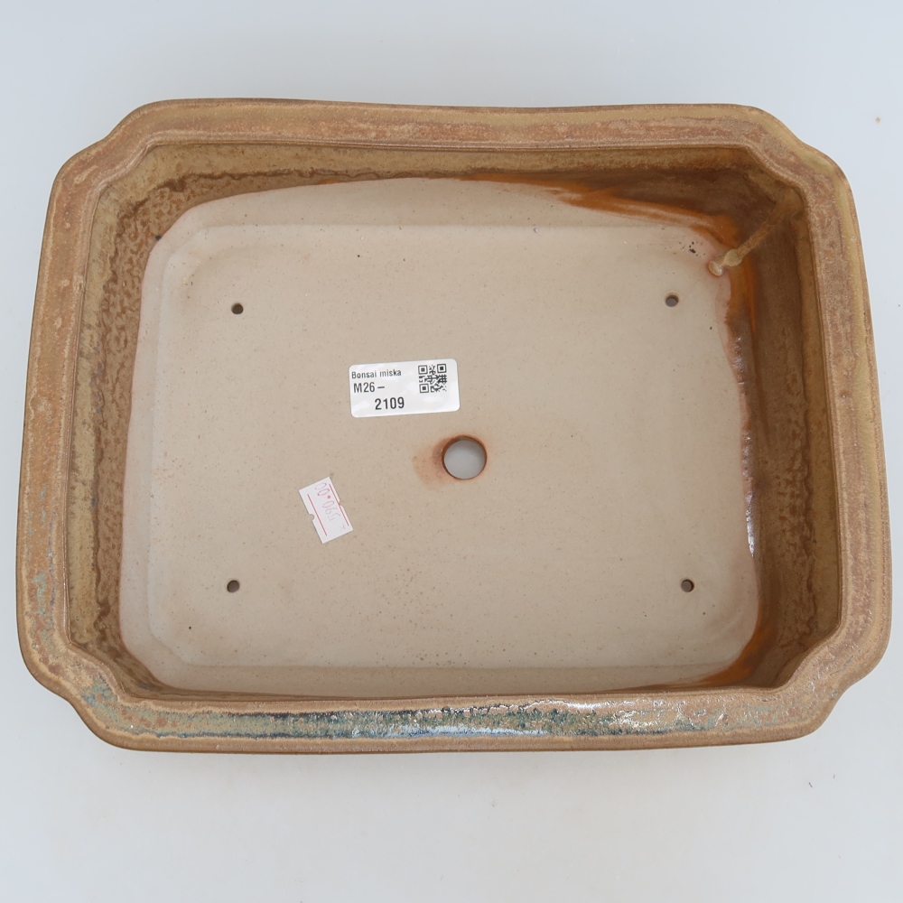 Ciotola bonsai in ceramica 27,5 x 21,5 x 7 cm, colore beige