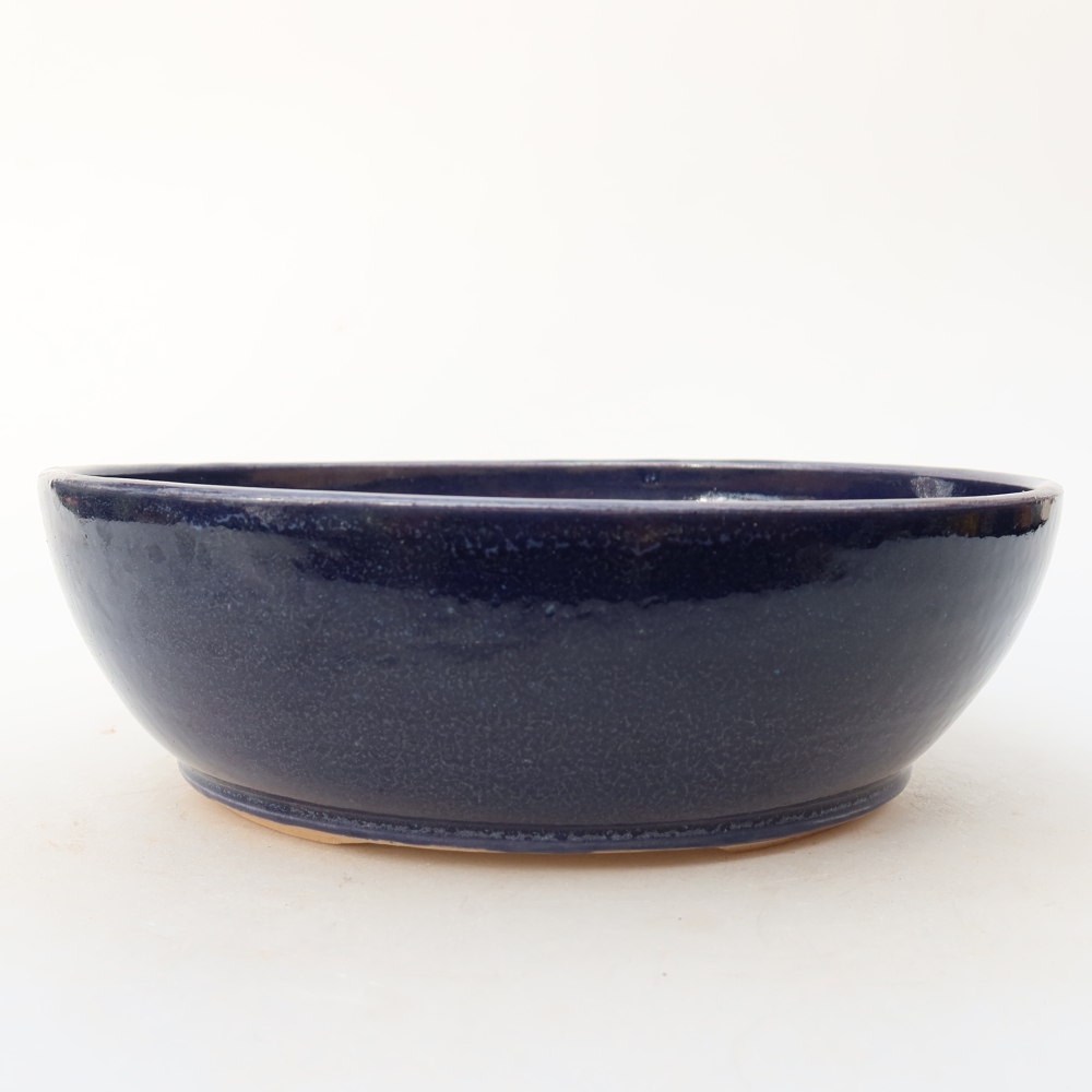 Ciotola bonsai in ceramica 19 x 19 x 6 cm, colore blu