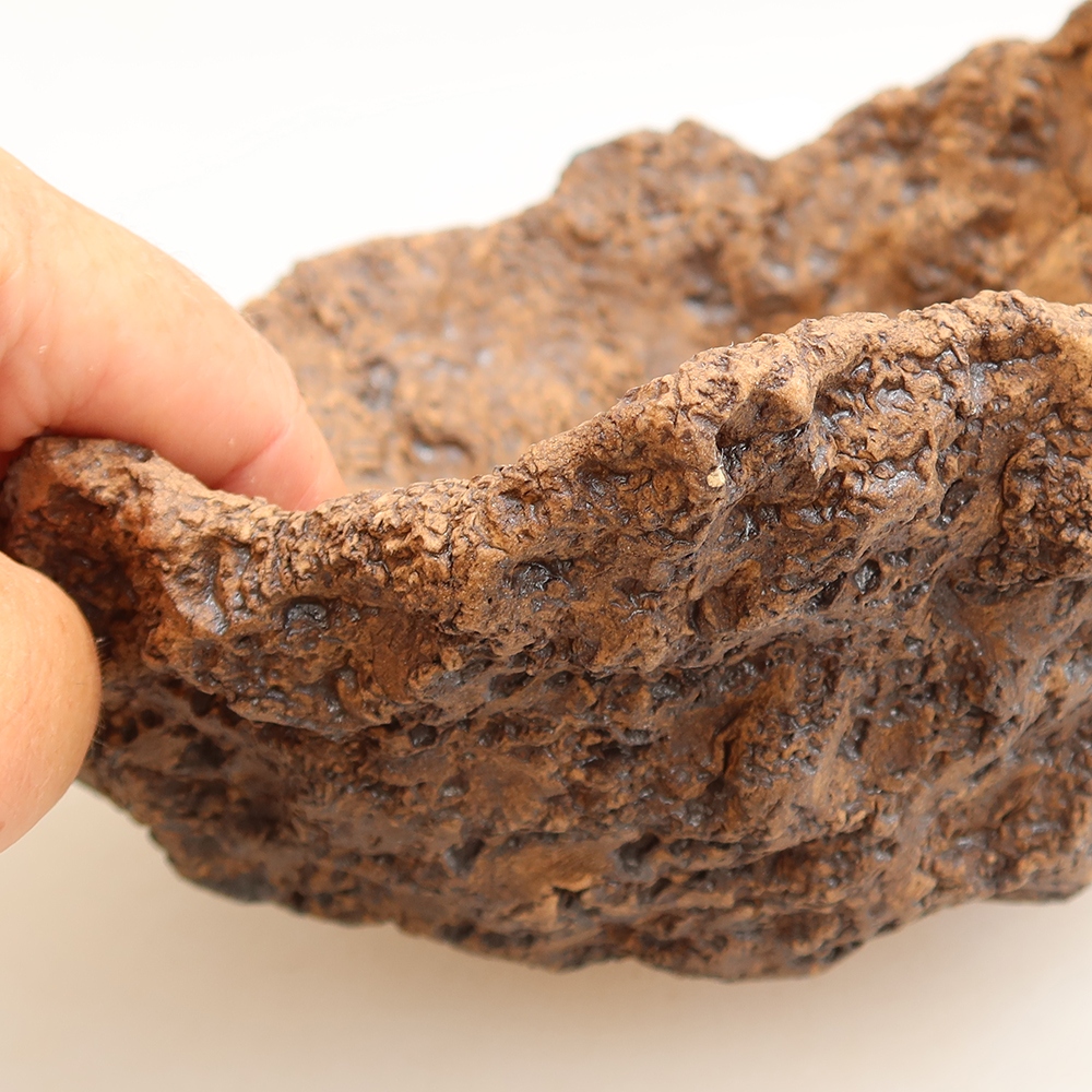 Conchiglia in ceramica 19 x 17 x 13 cm, colore marrone