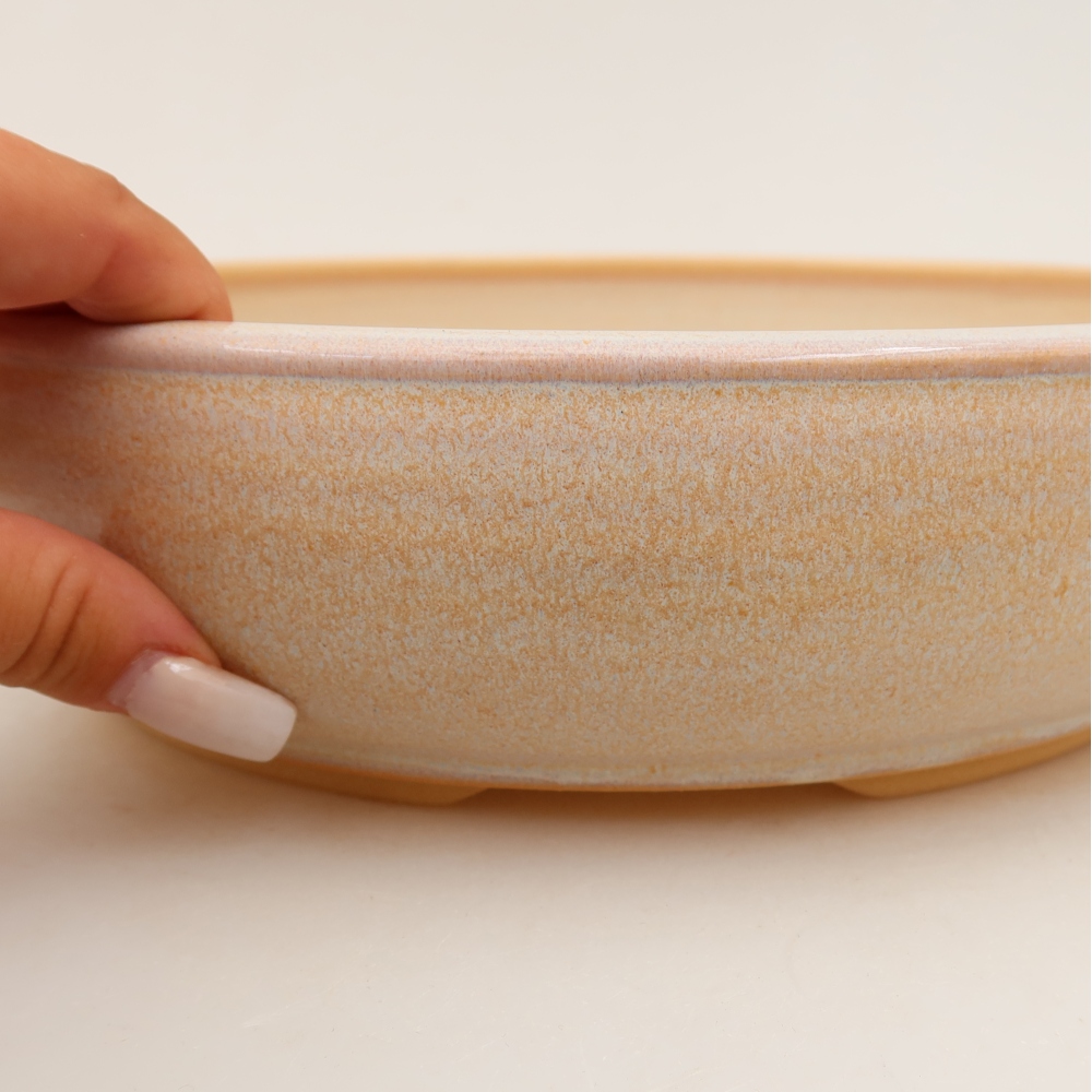 Vaso in ceramica per bonsai 27 x 27 x 6,5 cm, colore beige