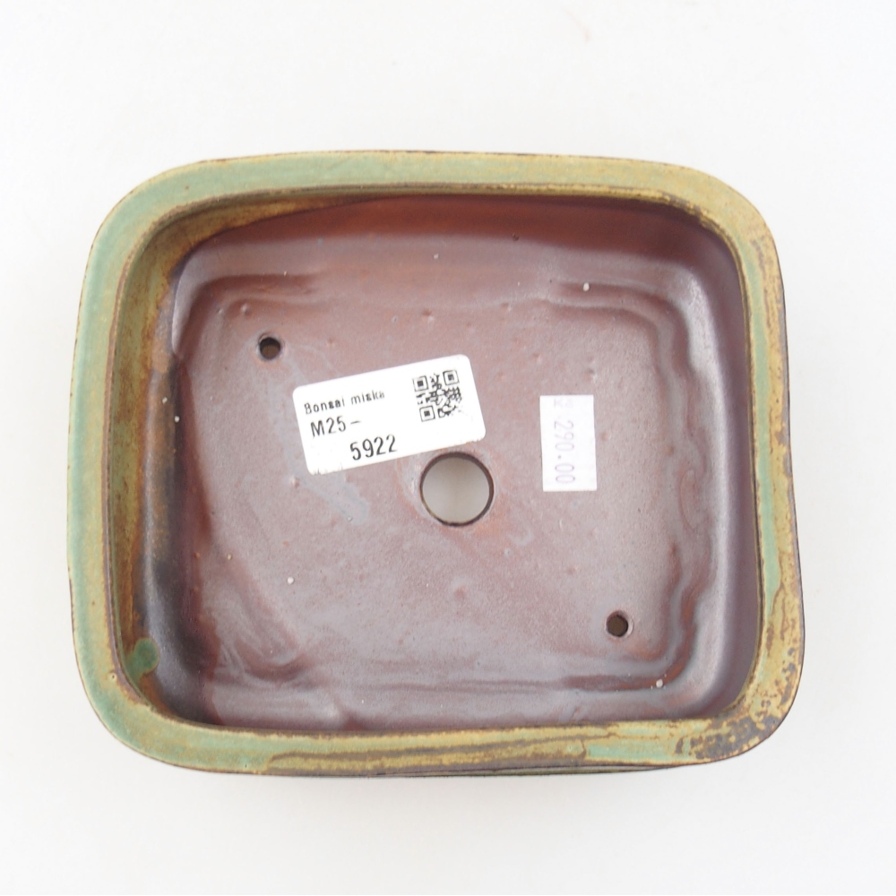 Ciotola bonsai in ceramica 22 x 17 x 5 cm, verde