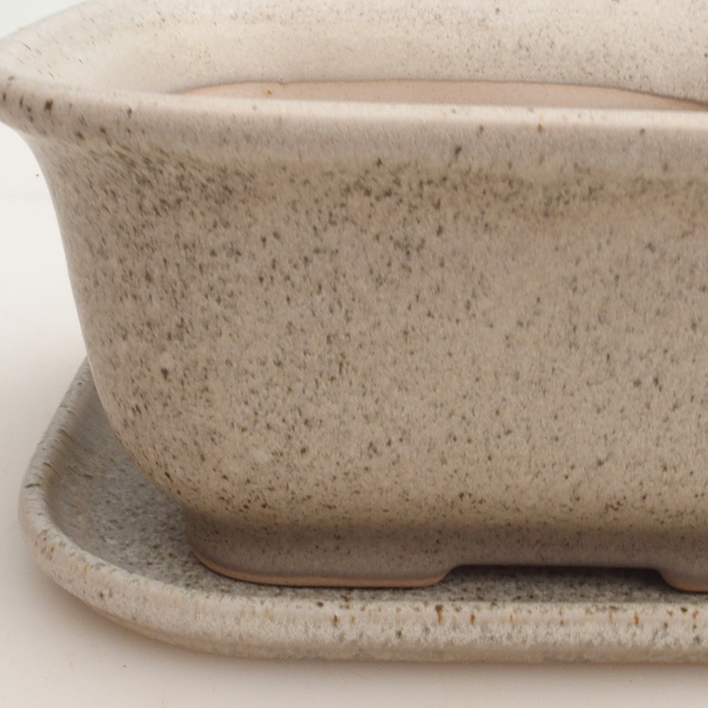 Ciotola bonsai + piattino H36 - 17 x 15 x 7,5 cm - beige