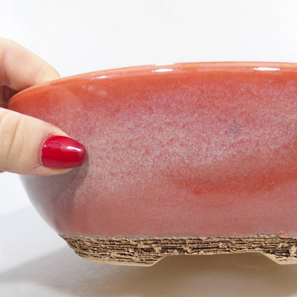 Ciotola per bonsai in ceramica 20,5 x 20,5 x 7 cm, colore rosso