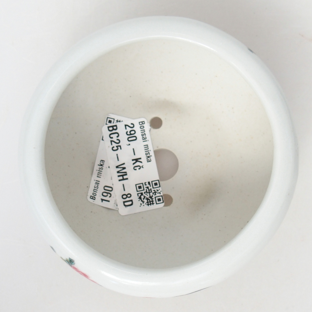 Ciotola per bonsai in ceramica 10 x 10 x 5 cm, colore bianco