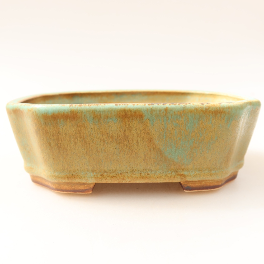 Vaso da bonsai in ceramica 13,5 x 11,5 x 4 cm, colore verde