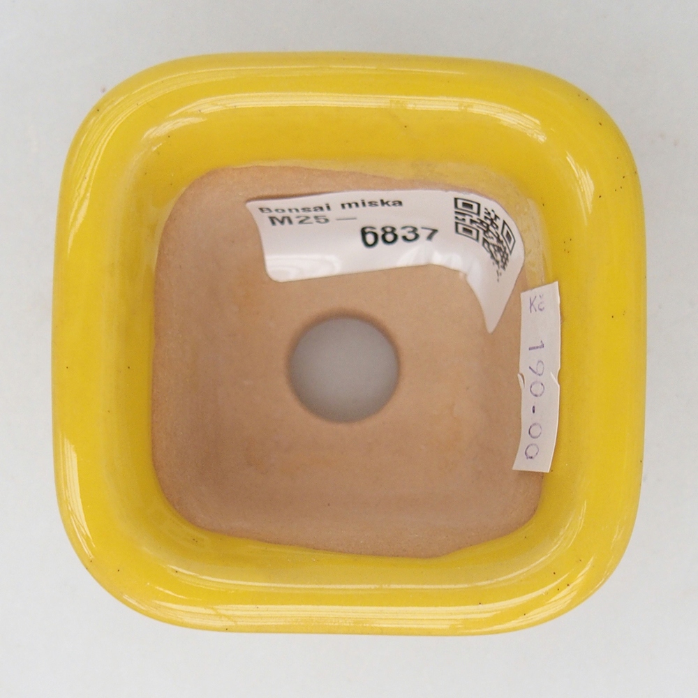 Ciotola per bonsai in ceramica 6,5 x 6,5 x 5 cm, giallo
