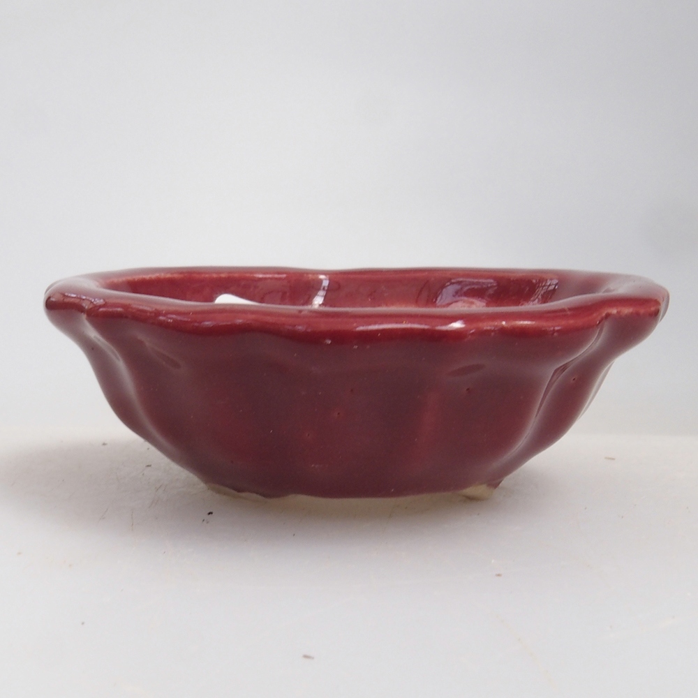 Mini bonsai 5 x 5 x 1,5 cm, colore bordeaux